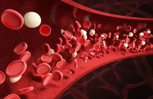 Unveiling Anemia's Impact: Decode the 4 Most Likely Symptoms That Signal Iron Deficiency